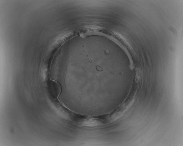 X0000115660451200911121217