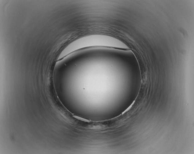 X0000115660452200911121217