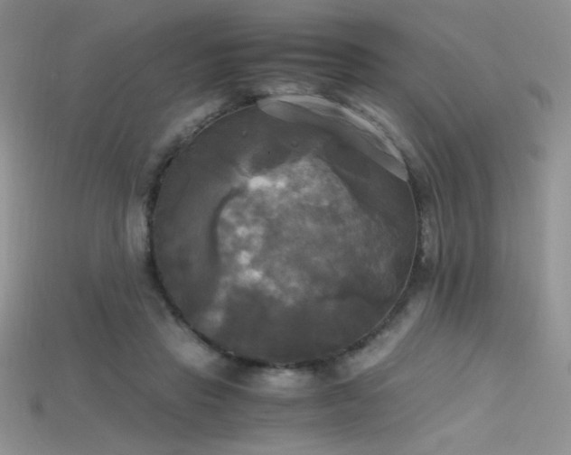 X0000115660453200911121217
