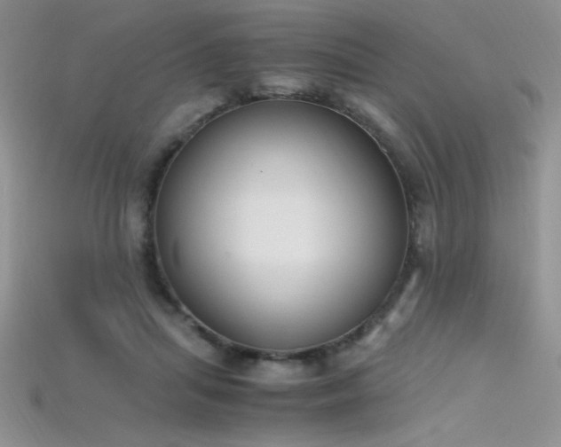 X0000115660455200911121217