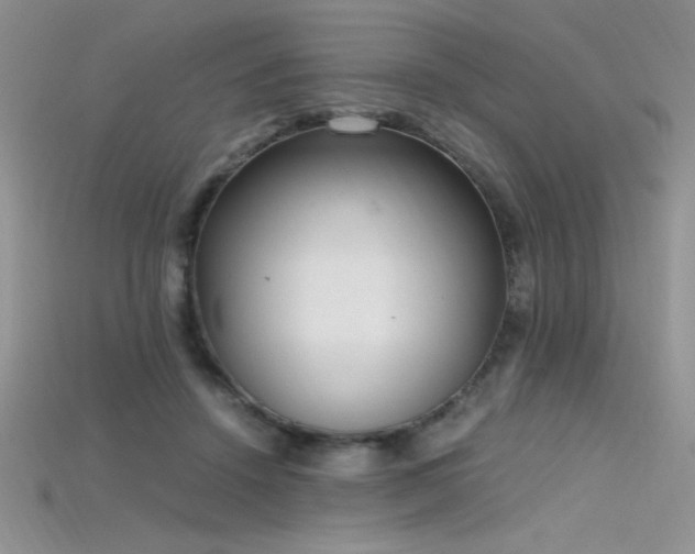X0000115660456200911121217