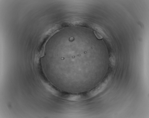 X0000115660458200911121217