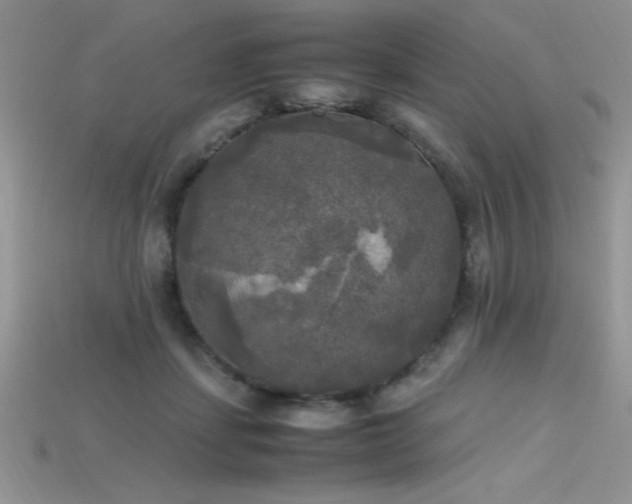 X0000115660459200911121217