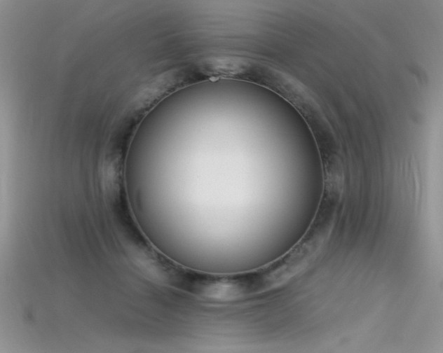 X0000115660460200911121217