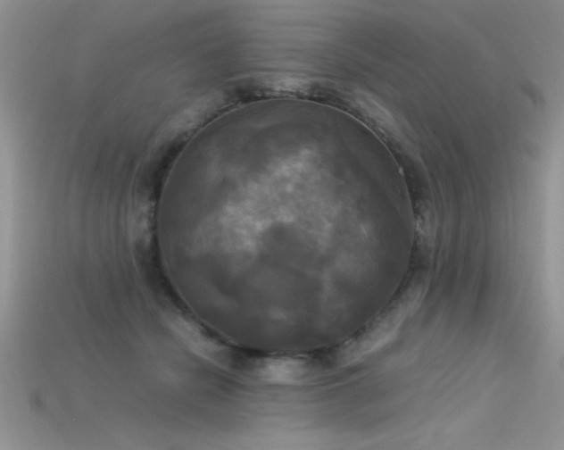 X0000115660462200911121217