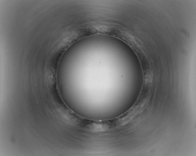 X0000115660464200911121217