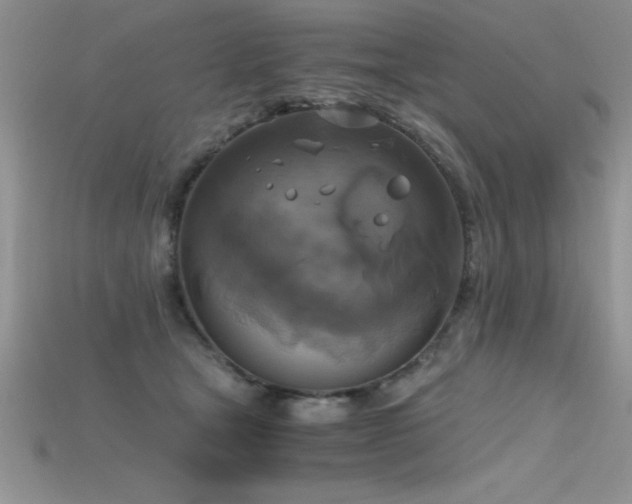 X0000115660465200911121217