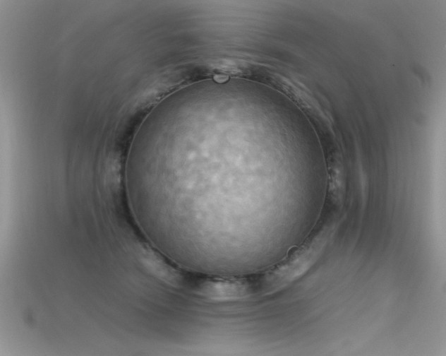 X0000115660466200911121217
