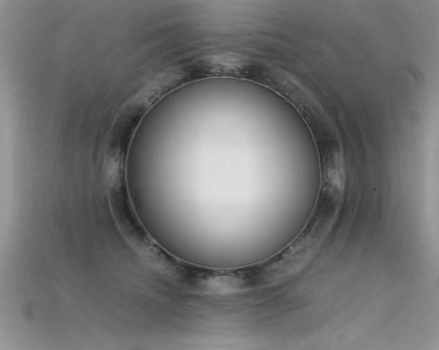 X0000115660468200911121217