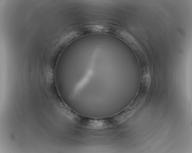 X0000115660469200911121217