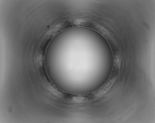 X0000115660470200911121217