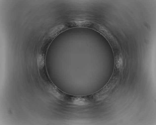 X0000115660471200911121217