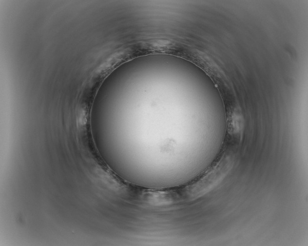 X0000115660472200911121217