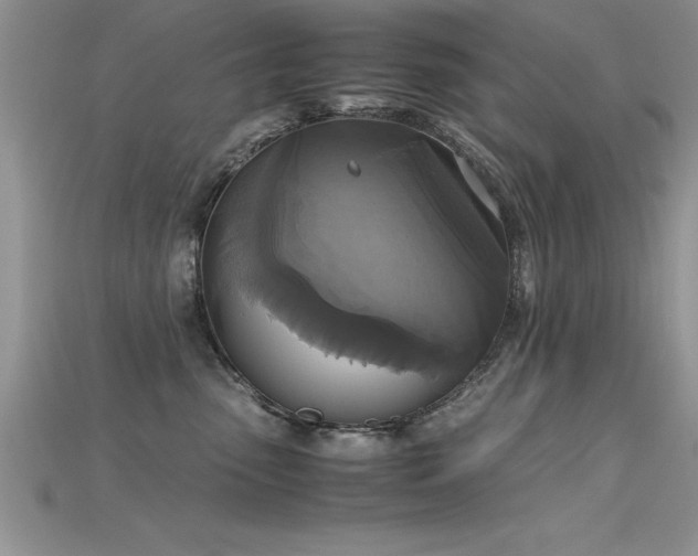 X0000115660475200911121217