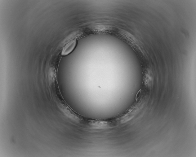 X0000115660476200911121217