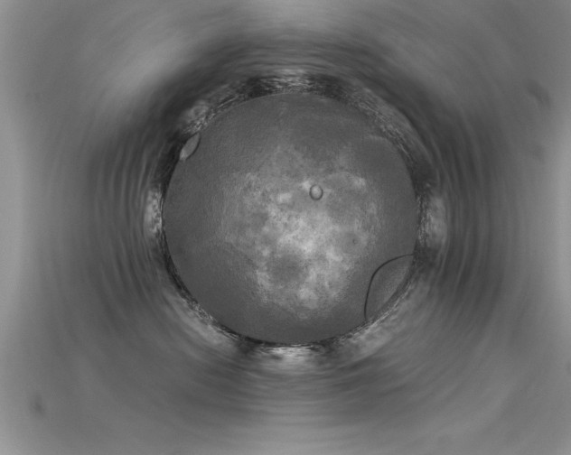 X0000115660478200911121217