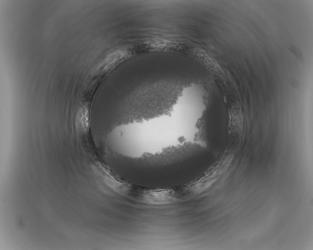 X0000115660479200911121217