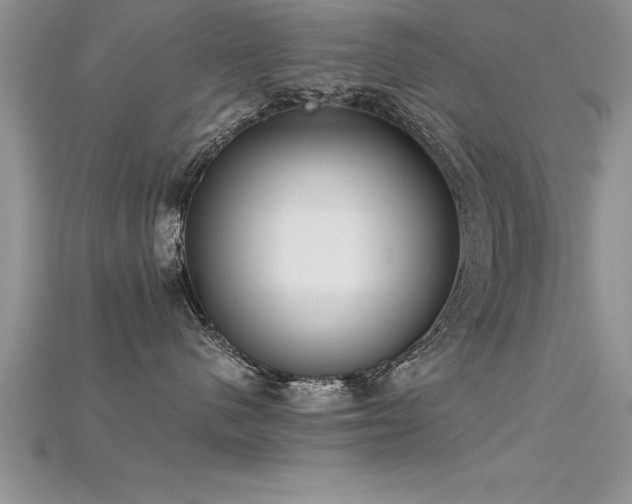 X0000115660480200911121217
