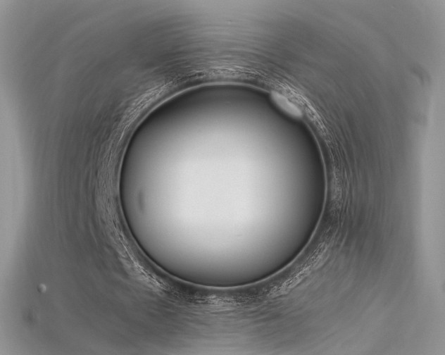 X0000115660481200911121217