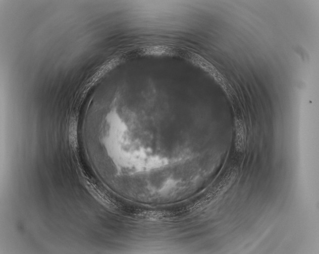 X0000115660482200911121217