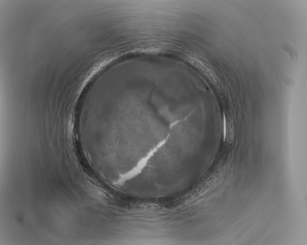 X0000115660483200911121217