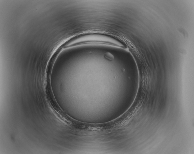 X0000115660484200911121217