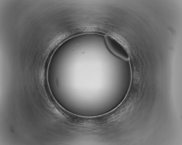 X0000115660485200911121217