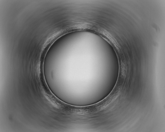 X0000115660486200911121217