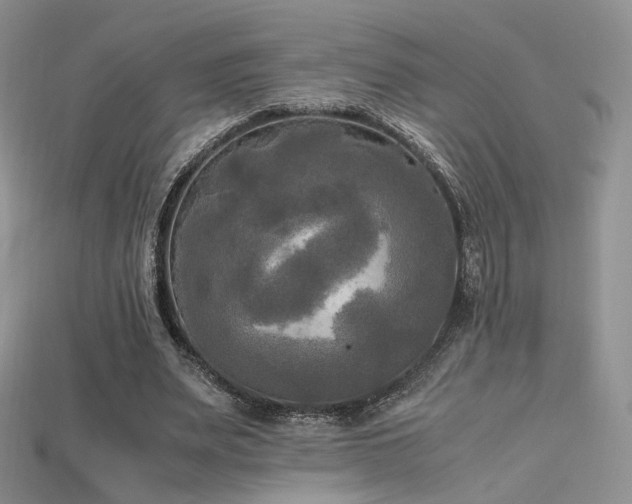 X0000115660487200911121217