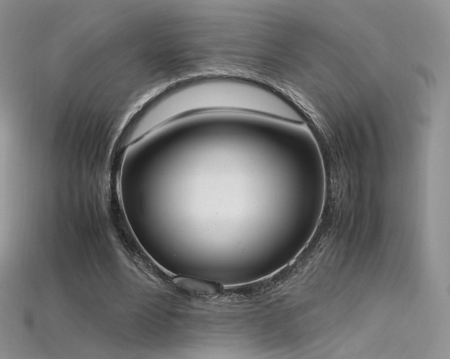 X0000115660488200911121217