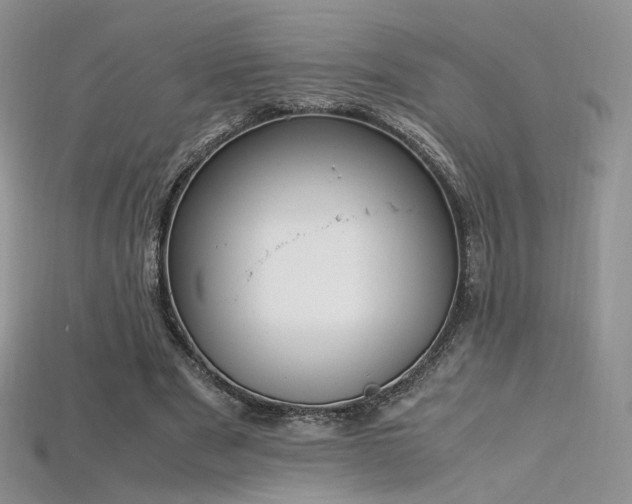 X0000115660489200911121217