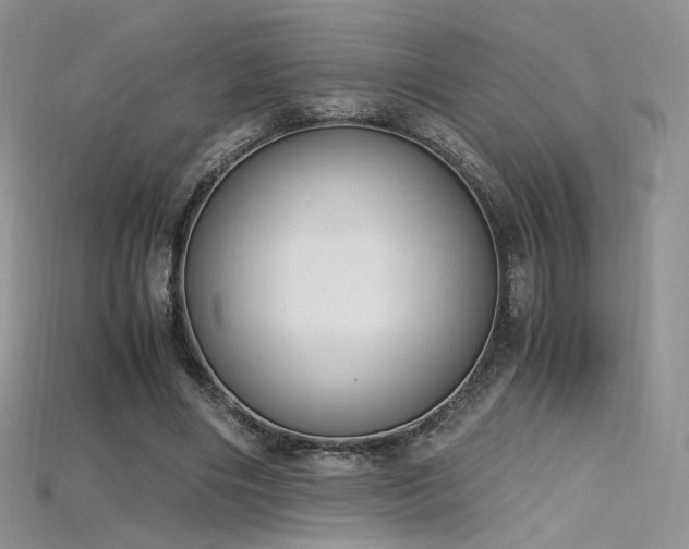 X0000115660490200911121217
