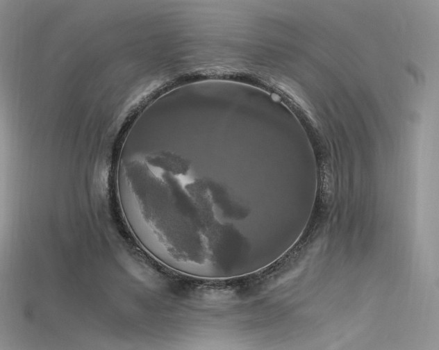 X0000115660491200911121216