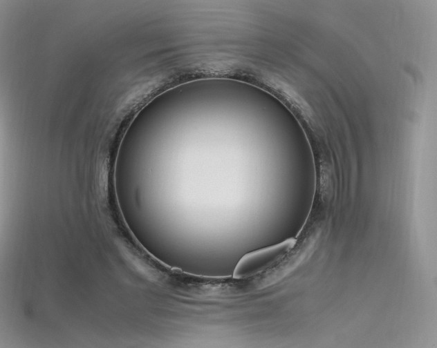 X0000115660493200911121216
