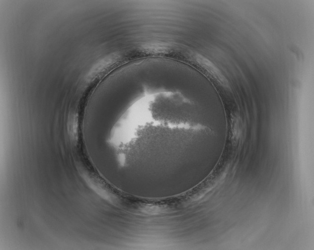 X0000115660494200911121216