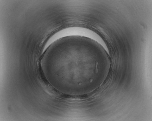 X0000115660500200911121216