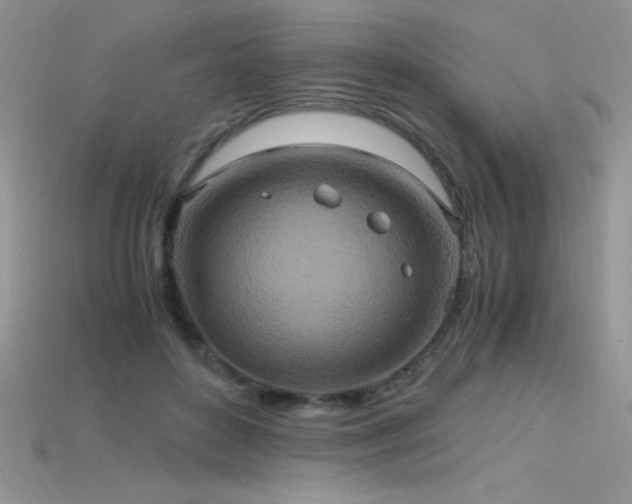 X0000115660504200911121216
