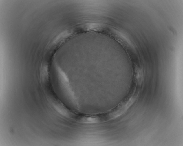 X0000115660506200911121216