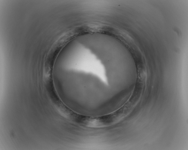 X0000115660507200911121216