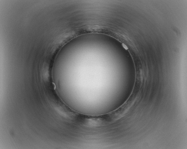 X0000115660508200911121216