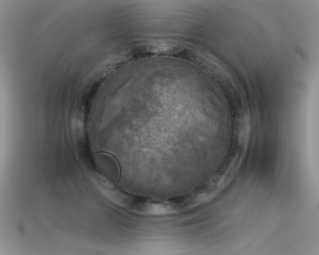 X0000115660510200911121216