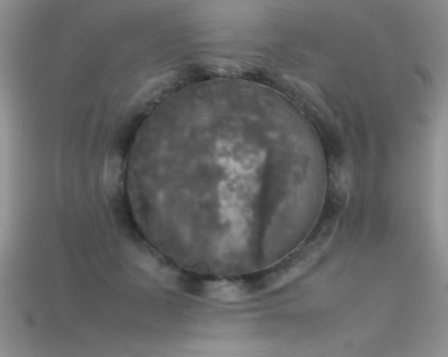X0000115660511200911121216
