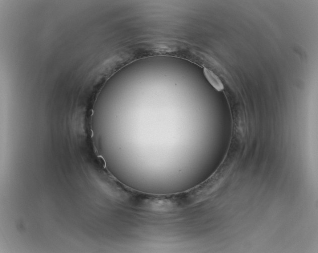 X0000115660512200911121216