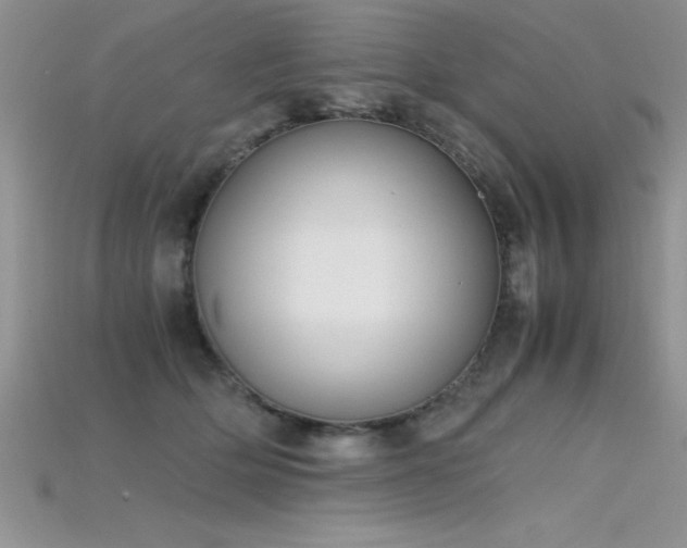 X0000115660514200911121216