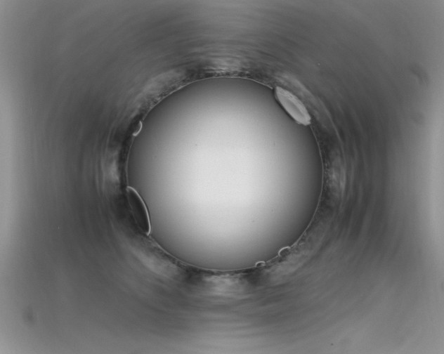 X0000115660516200911121216