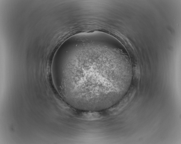 X0000115660517200911121216
