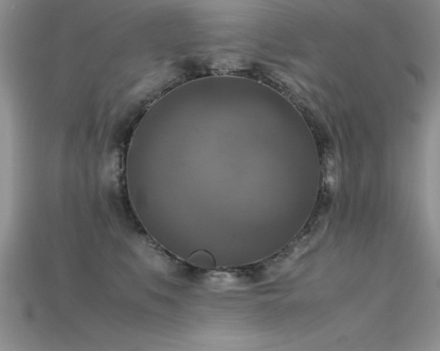 X0000115660519200911121216