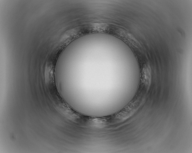 X0000115660522200911121216