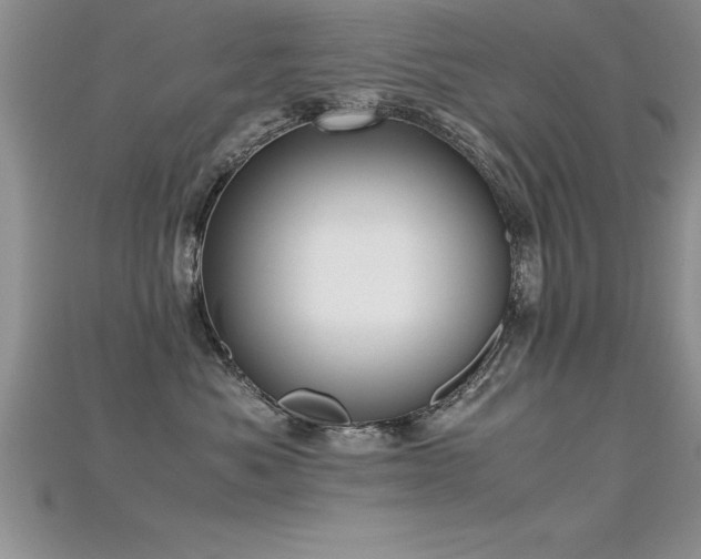 X0000115660525200911121216