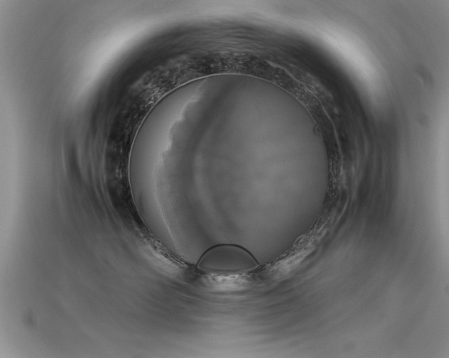 X0000115660526200911121216